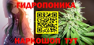 jwh Ирбит