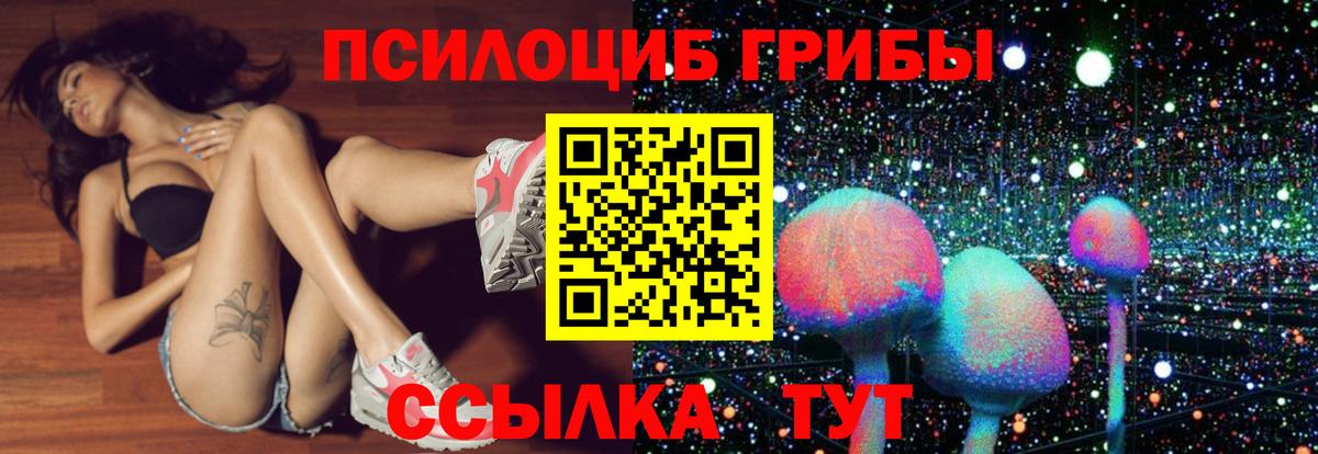 Псилоцибиновые грибы GOLDEN TEACHER  Вход с VPN  Псилоцибиновые грибы ЛСД  Лыткарино 