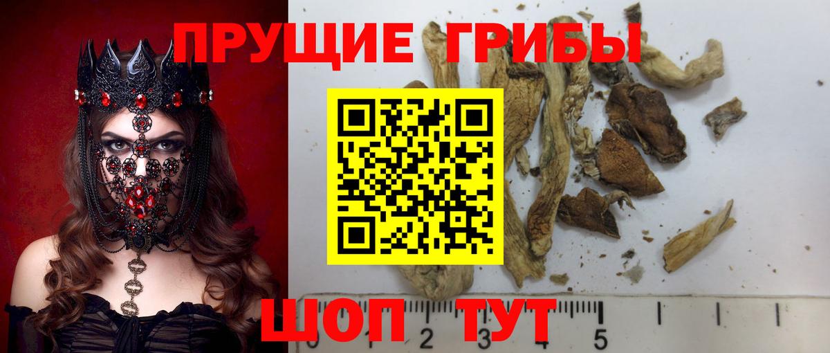Галлюциногенные грибы прущие грибы Лыткарино